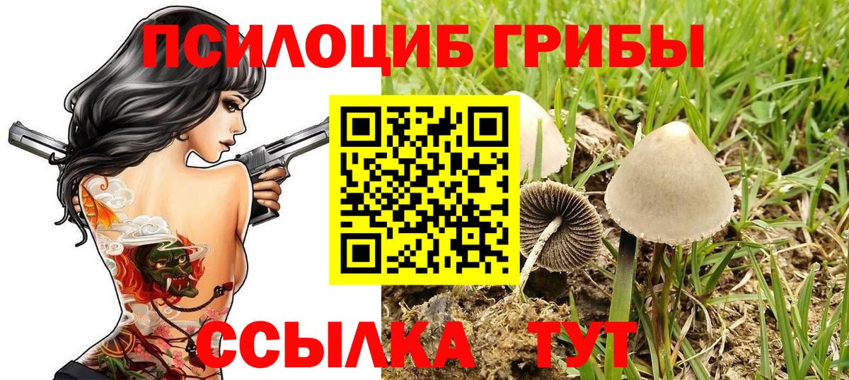 Галлюциногенные грибы MAGIC MUSHROOMS Кольчугино