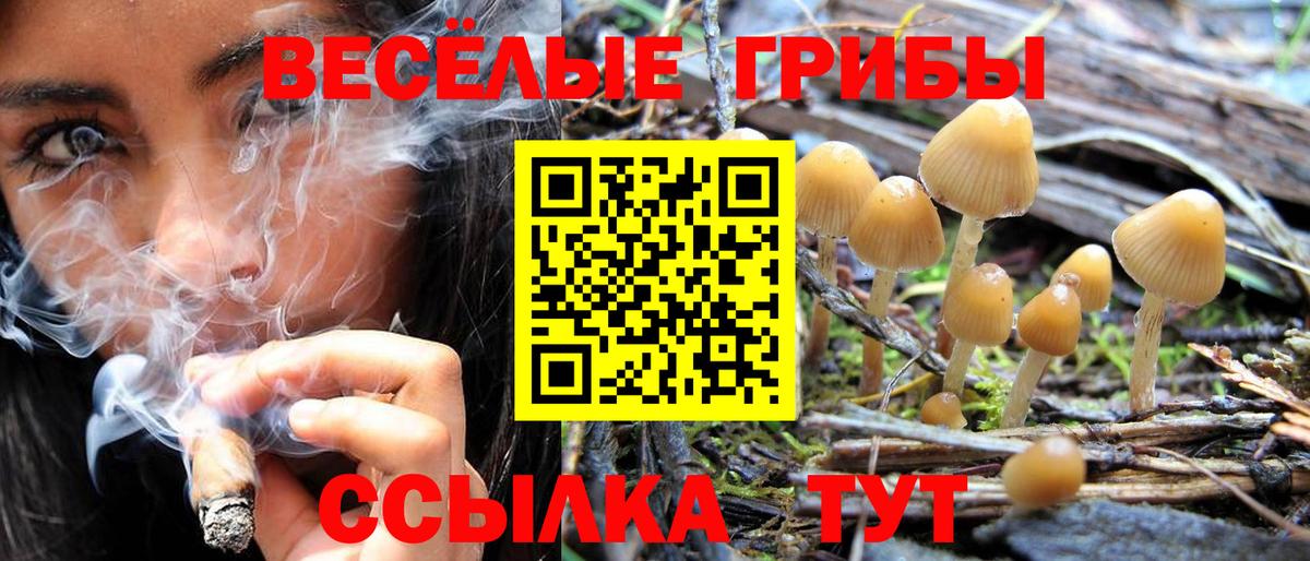 Кольчугино  Галлюциногенные грибы Magic Shrooms  Вход с VPN 